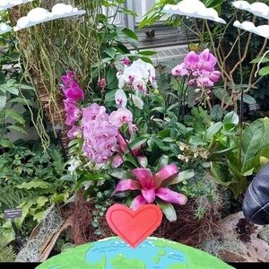 Meet your Posher, Roma f.